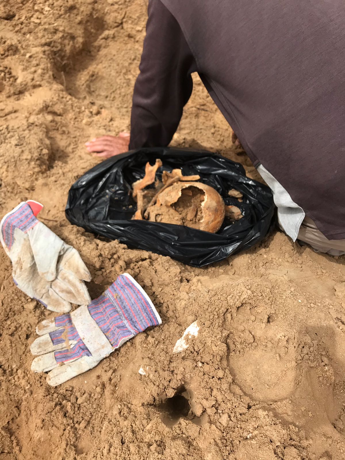 WhatsApp Image 2020-06-17 at 9.30.47 AM (3).jpeg.jpeg